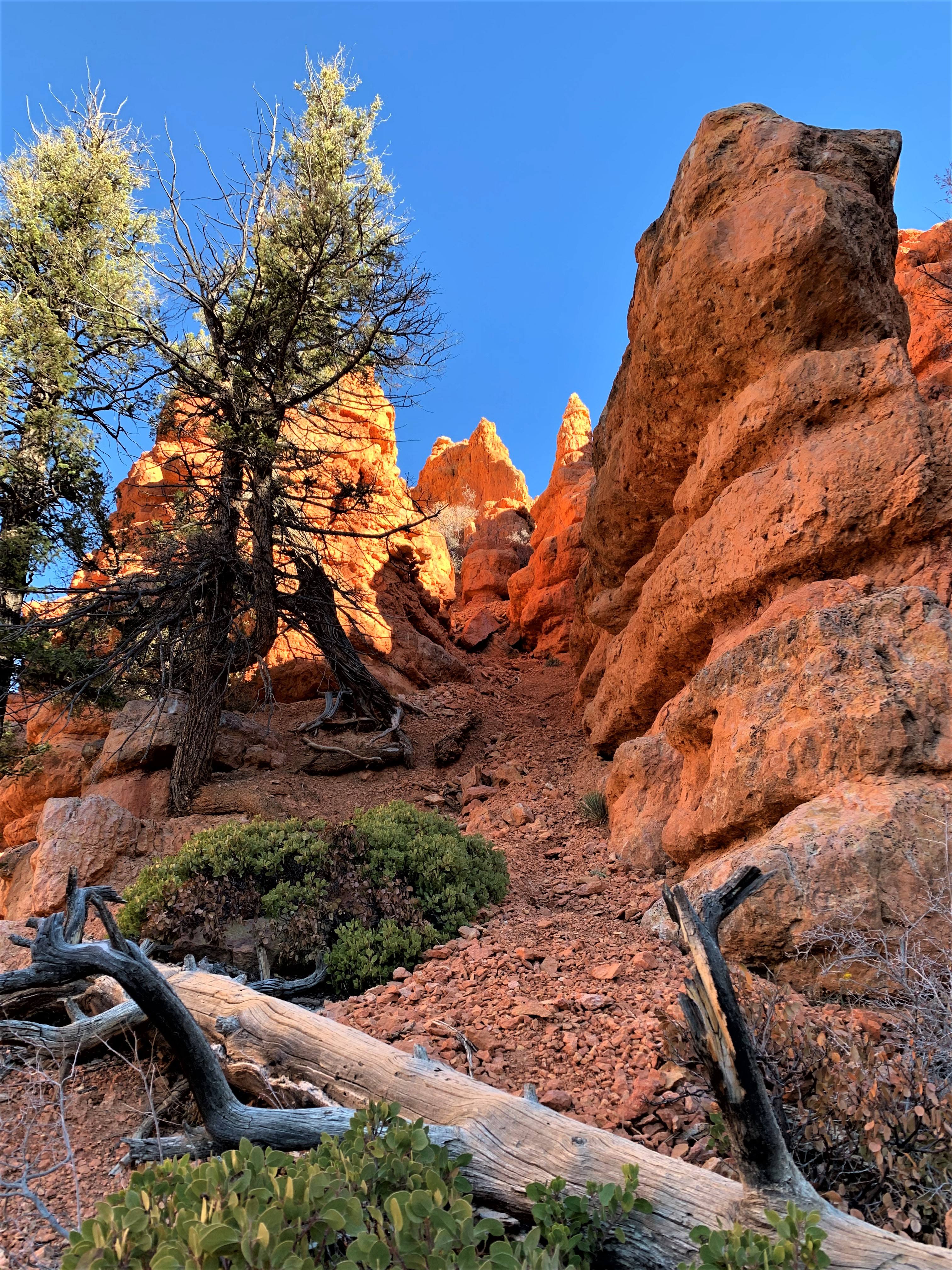 Red Canyon